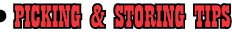 Picking and Storing Tips