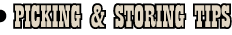 Picking and Storing Tips