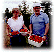couplewstrawberries.gif - 22526 Bytes
