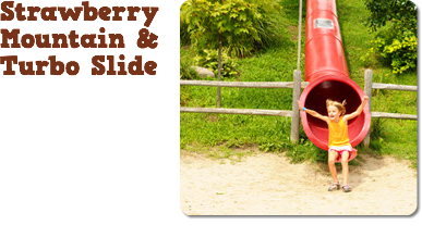 ﷯Strawberry Mountain & Turbo Slide
